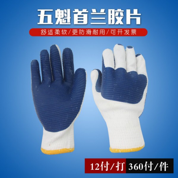 煙台五魁首蘭膠片